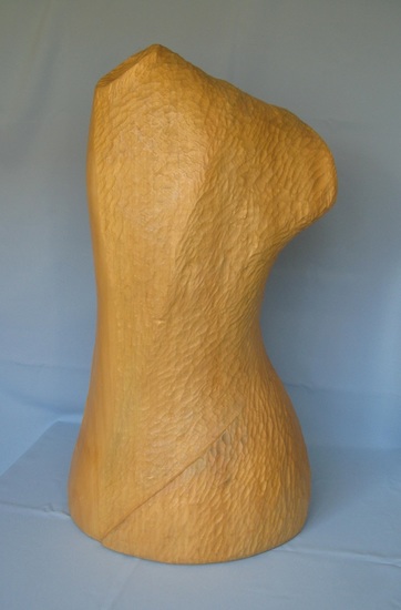 Torso