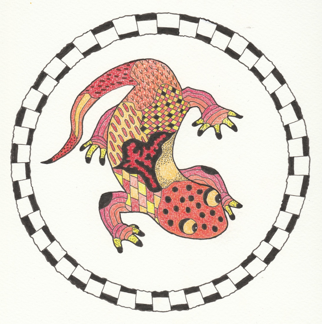 Salamander