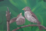 Ik ben gefascineerd door vogels. Het kijken naar vogels is voor mij een feest. Hoewel ik geen groot vogelkenner ben kan ik wel enorm genieten van hun rijkdom aan kleuren en vele soorten.