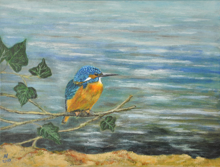 IJsvogel 2