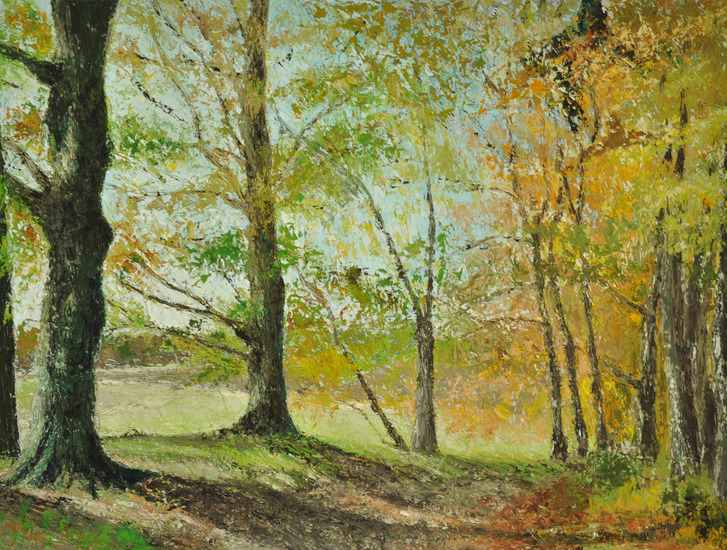 Landgoed 'Twickel' te Dieren