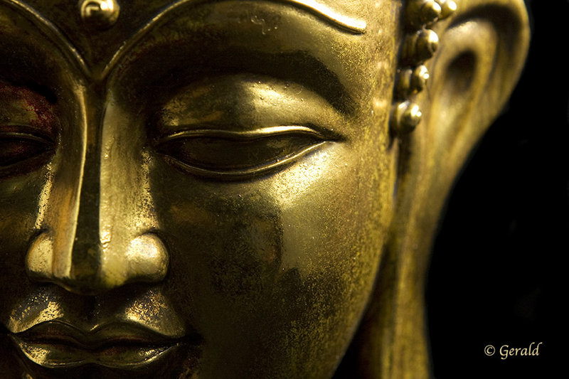 Buddha head crop
