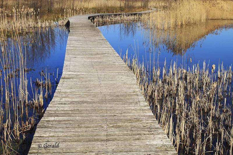 Woodenbridge Beekbergerwoud
