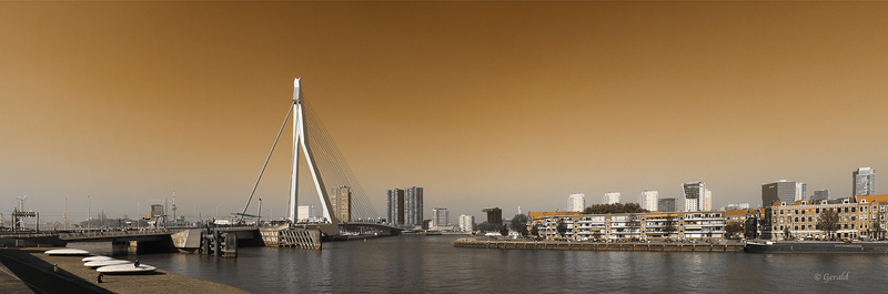 Pano Erasmus Bridge Rotterdam
