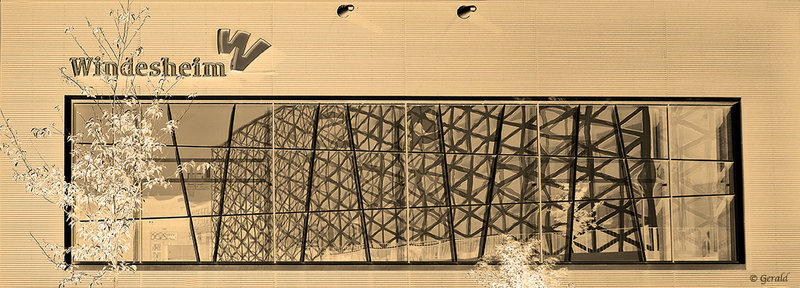 Windesheim University