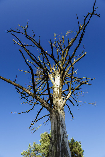 Life and perishableness