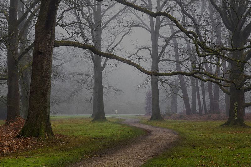 Strollers in the fog