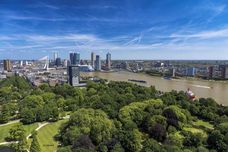 Skyline Rotterdam