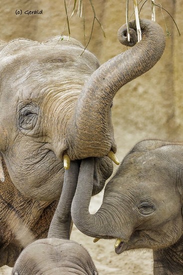 We also want something