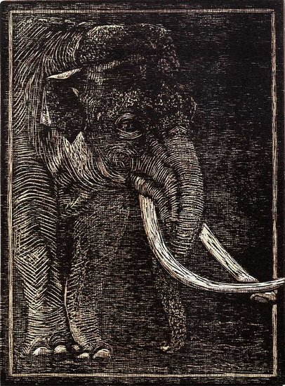 Olifant