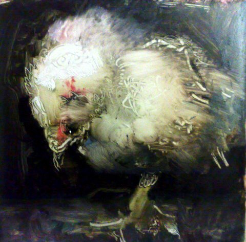 the bird
