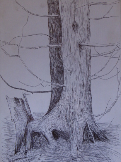 Tree Sketch