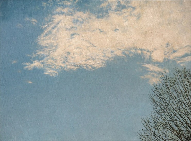 9. Altocumulus [23-2-04, 11:39-11:43]