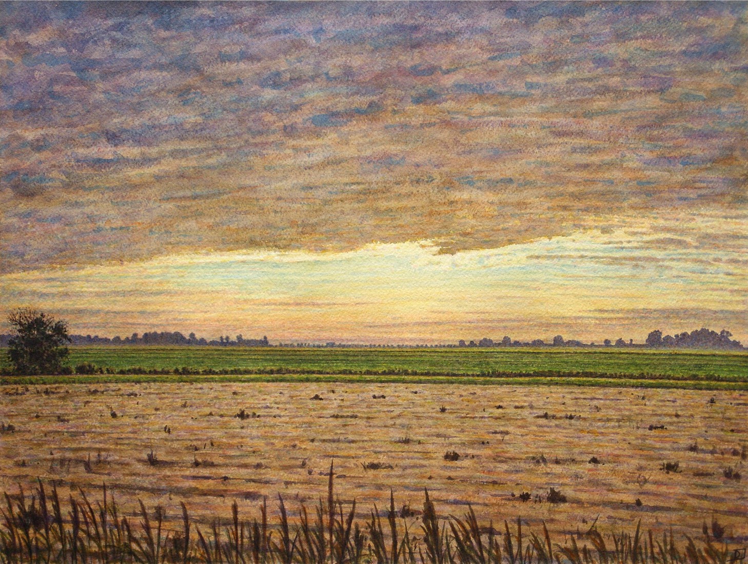 Warffum: evening sky during heatwave