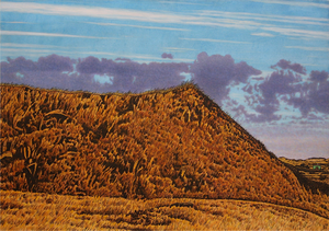 Werk op A4-formaat in de striptekenstijl die ik heb ontwikkeld sinds 1996.