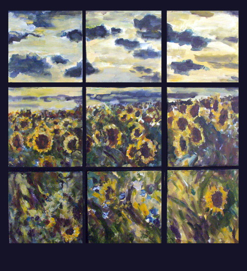 field with sunflowers