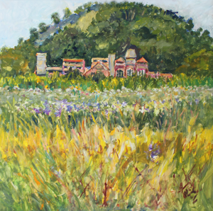 In 2025 verbleef ik heel de maand juli in het Van Goghhuis in WasmesColfontaine  in de Borinage, waar Vincent van Gogh begon als prediker en eindigde met een start van zijn kunstenaarsloopbaan. 
Hij was erg betrokken bij de mijnwerkers. De mijn waar hij met de mijnwerkers naar beneden ging, Marcasse, vlakbij van het Maison bepaalt de omgeving. Ik schilderde het complex vanuit alle hoeken 'en plein air'.   De werken staan op volgorde van de cirkel rondom. Ik weet nog alles van ieder schilderij.