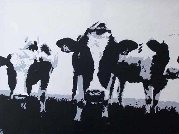 Drie koeien in de wei