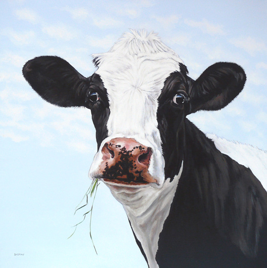 Koe 3547 (grasspriet)