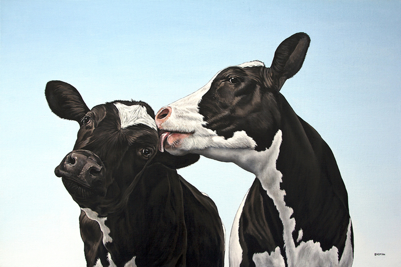 Twee koeien 3030