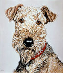 Portraits of cats and dogs