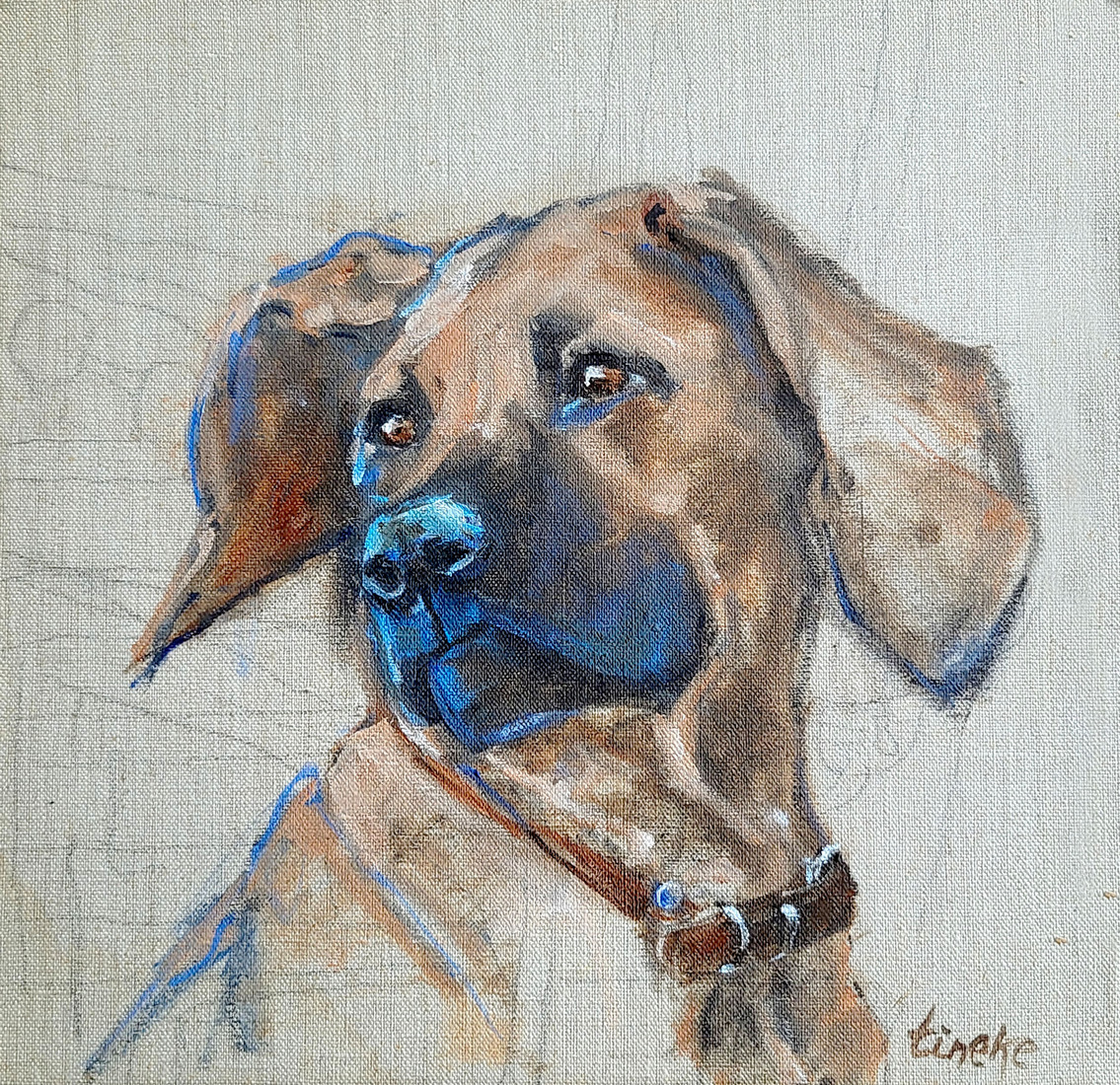 Jack