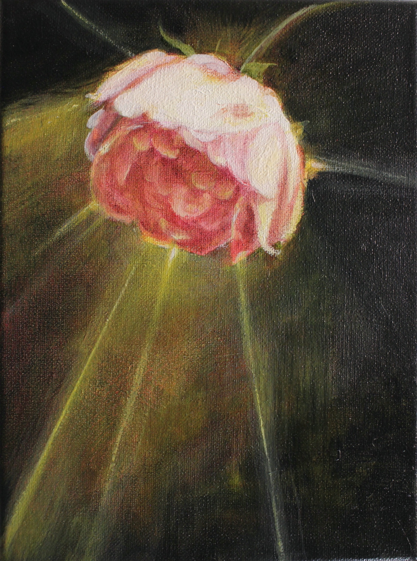 rosa lampadaire