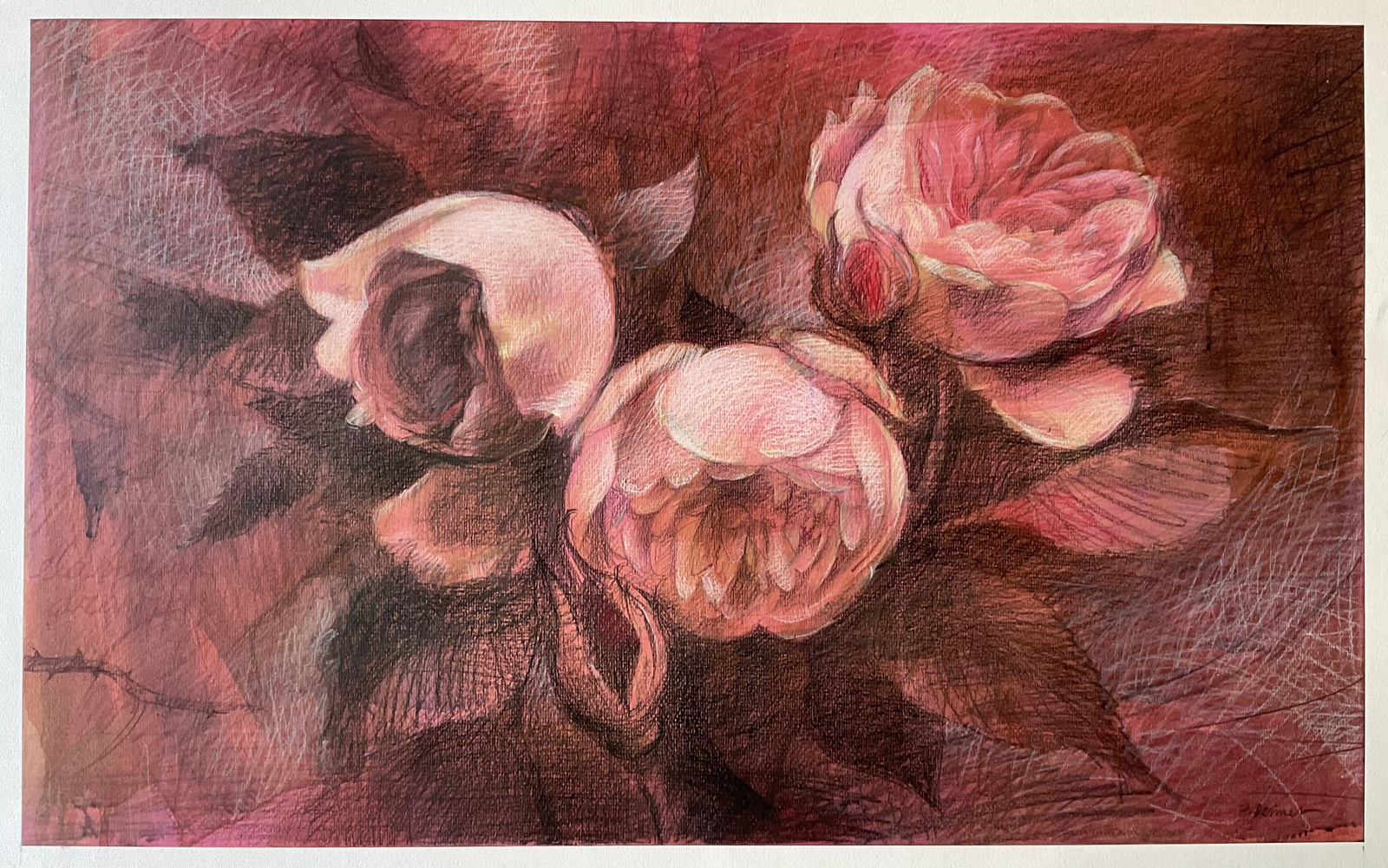 three roses and some buds