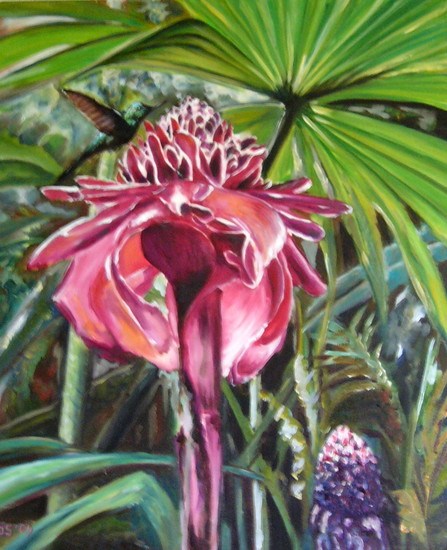 kolibrie op musa bloem