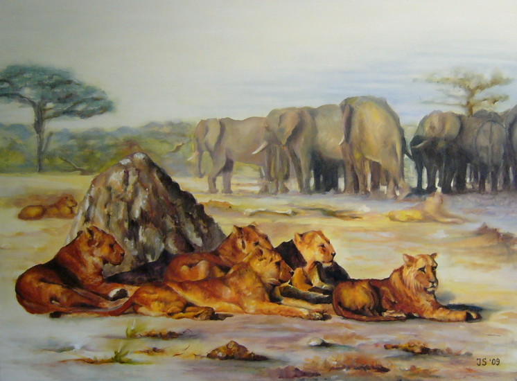 leeuwen en olifanten