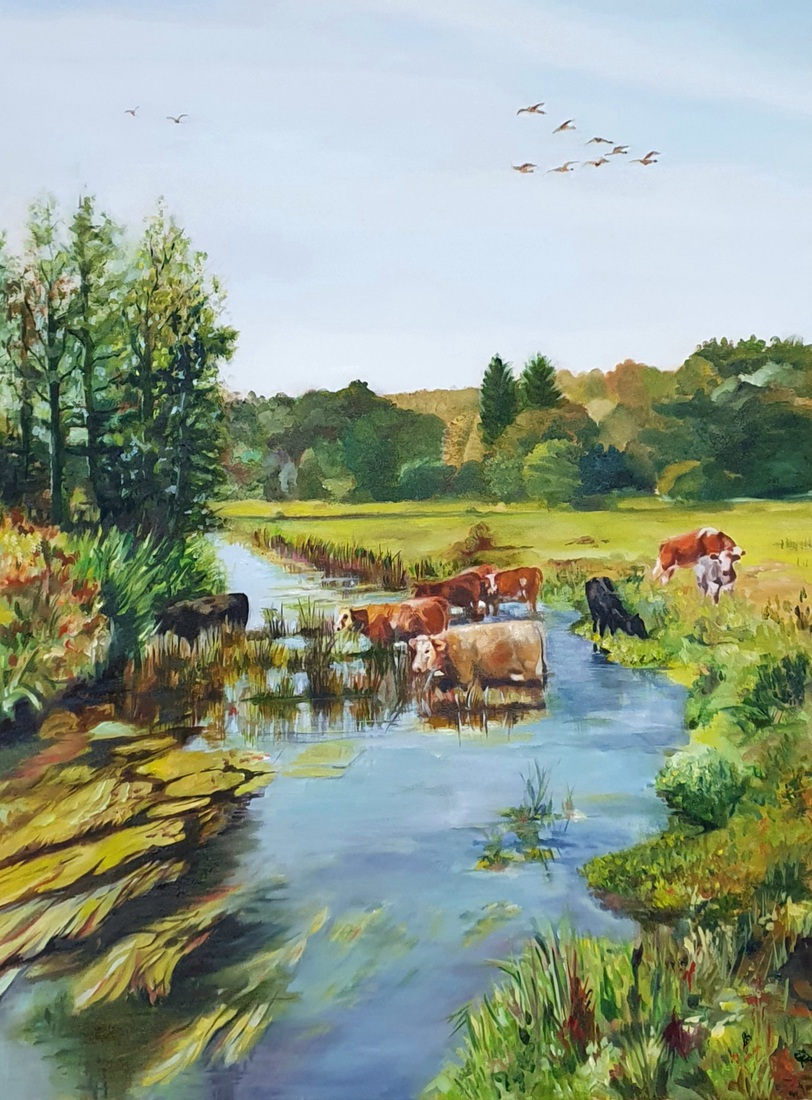 Koeien  in en om het water