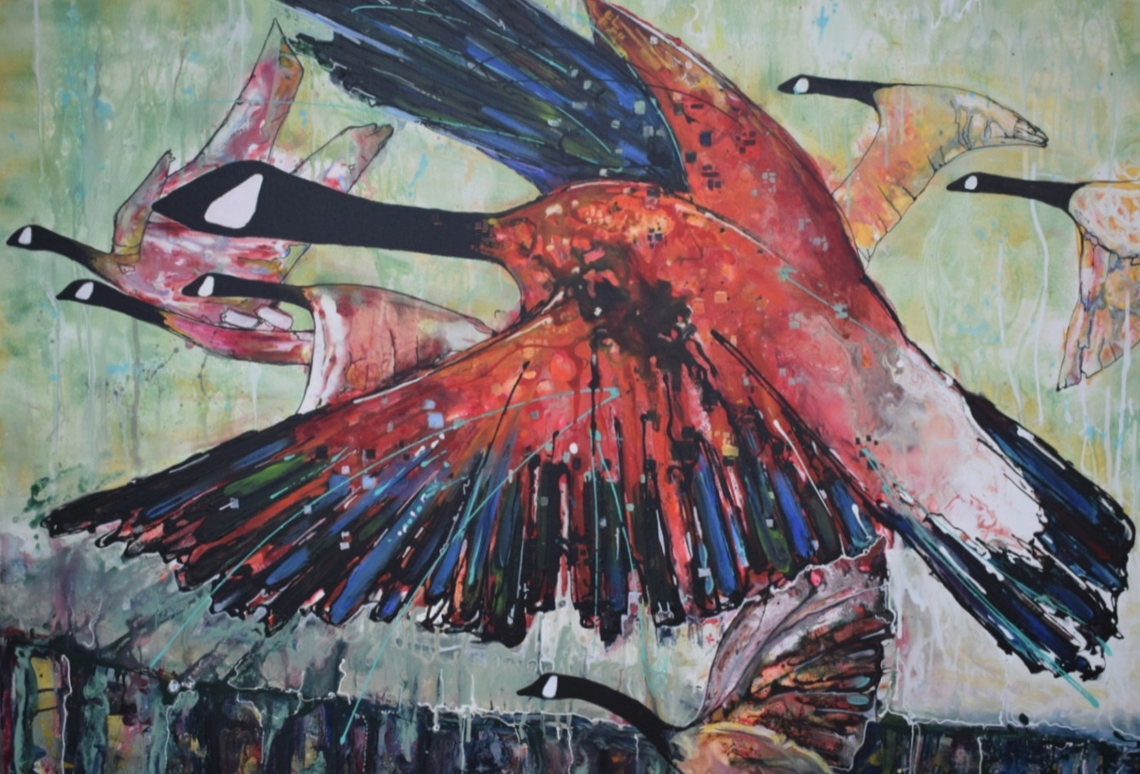 Canadese ganzen rood