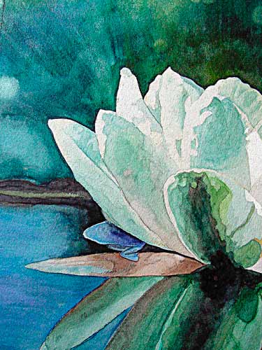 Waterlelie