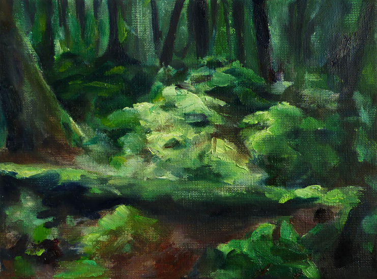 Bos