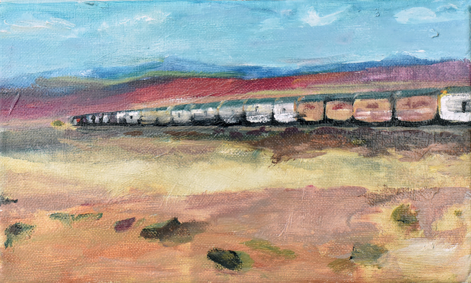 Goederentrein in Colorado