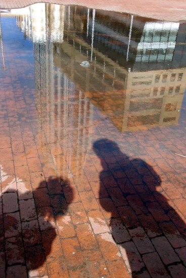 Sunshine after the rain