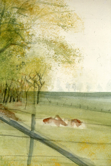 Oud-Heusdense koeien