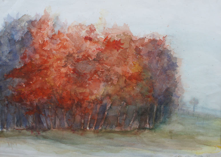 herfst in de buurt van Eindhoven