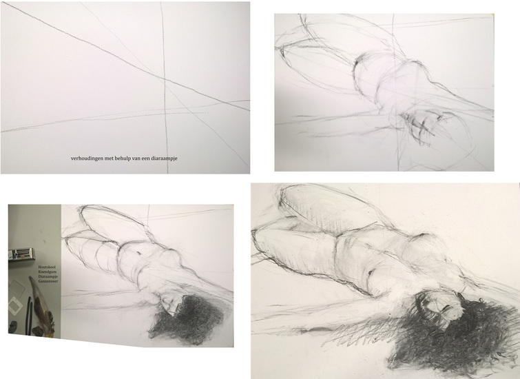 gebruik van een diaraam