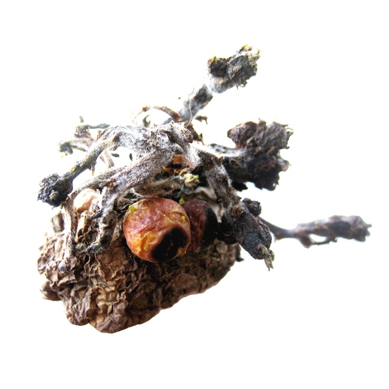 Gedroogde aardappels, no. 2