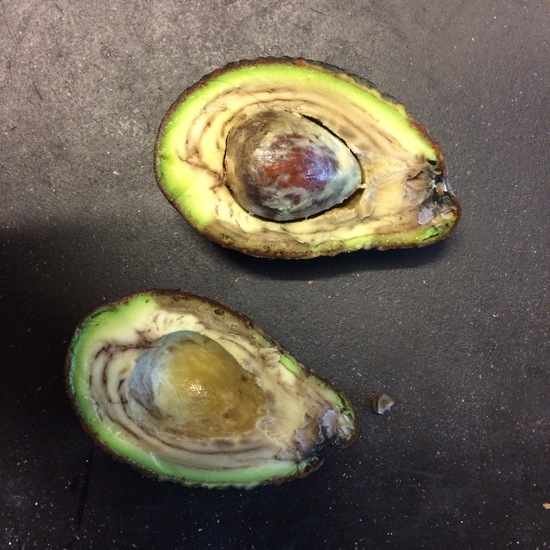 DARK Avacado