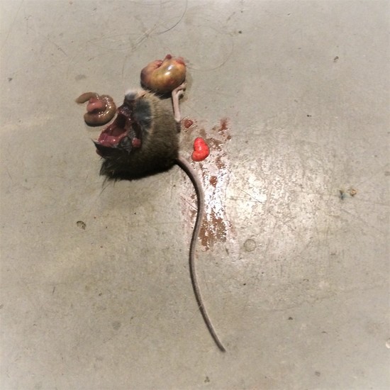 LULU's Diner - 9 (1/2 a Mouse)