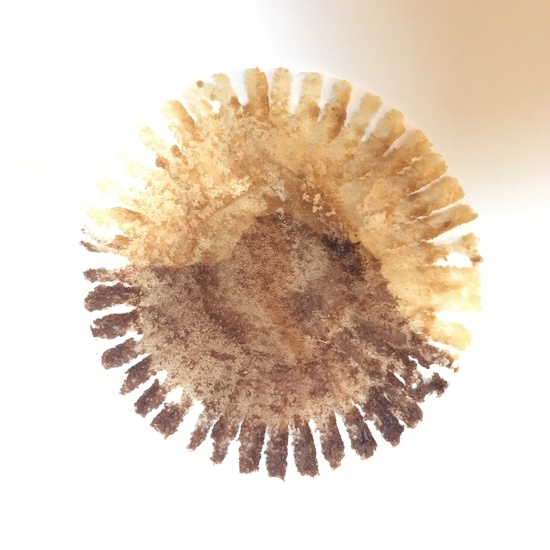 CUP CAKE