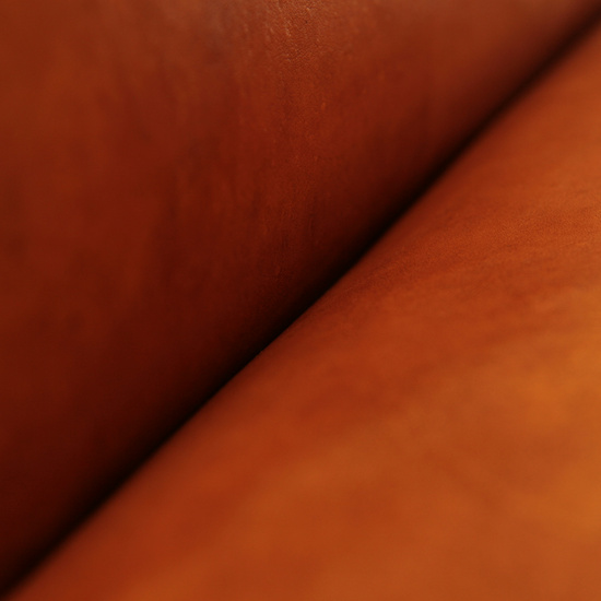 Sweet Orange Monster