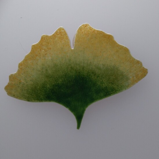 Ginkgo broche