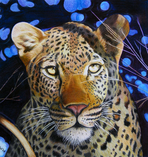 Leopard catched by flashlight