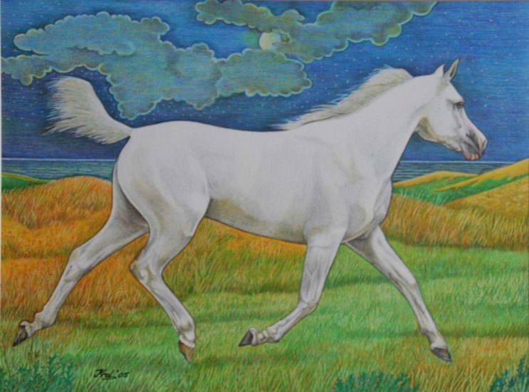 Arabier bij maanlicht