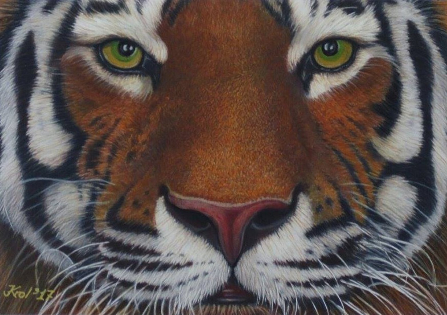 Eyes of the Tiger