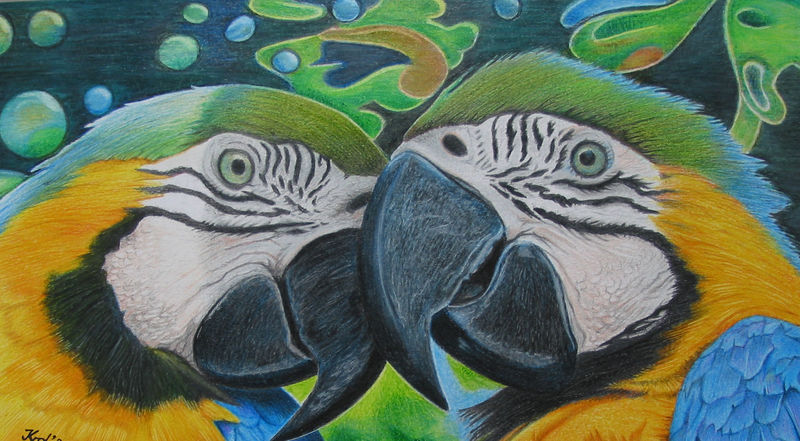 colourful conversation