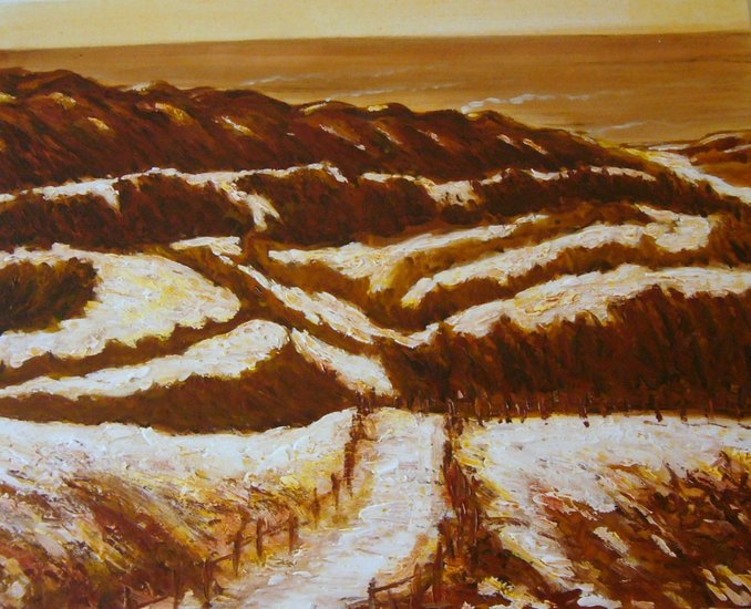 sneeuw in de duinen[2]